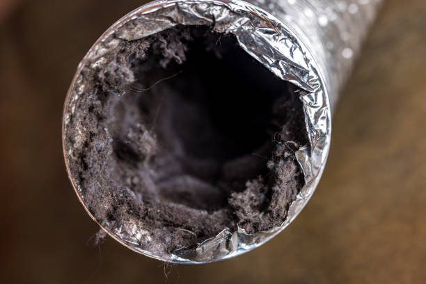 Best Ductwork Odor Removal in Cane Savannah, SC